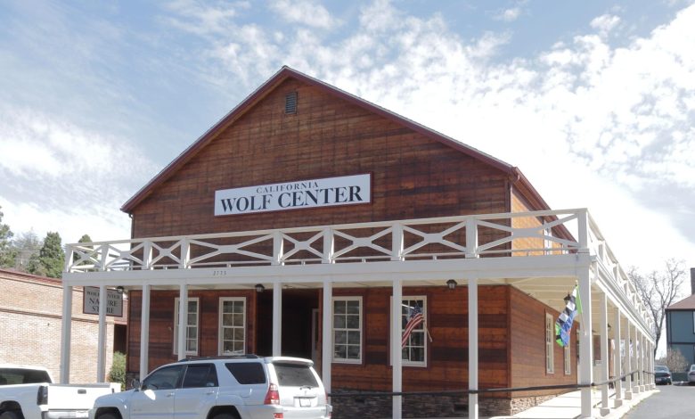 California Wolf Center