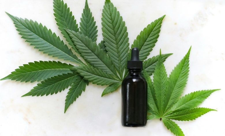 CBD Oil