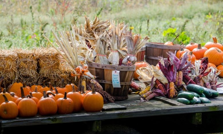 Harvest Festival