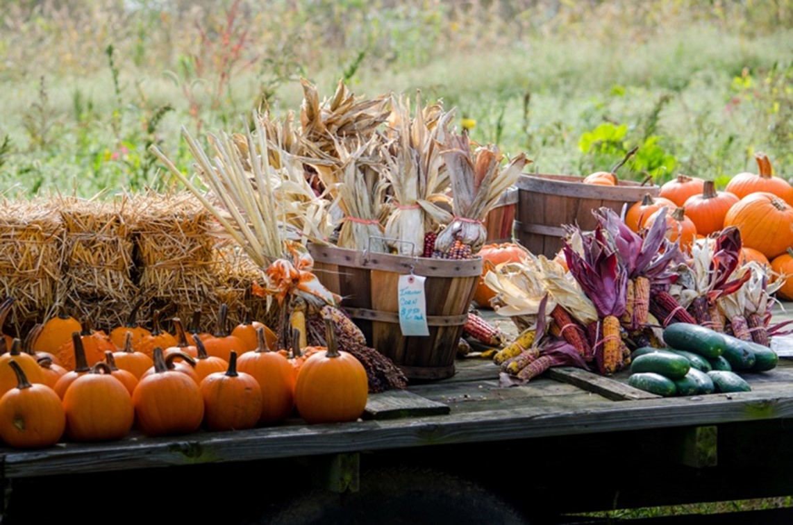 Harvest Festival