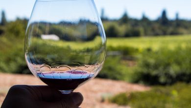 Glass of Red Wine in Hand Wine at a vineyard in Sonoma