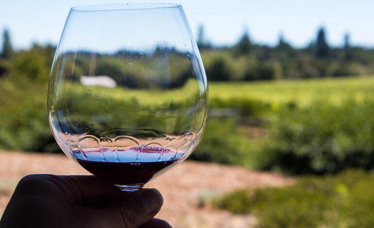 Glass of Red Wine in Hand Wine at a vineyard in Sonoma