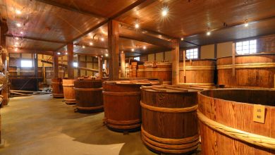 Brewing equipment on a brewery near a horse racing track