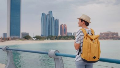 A traveler looking at the properties of Dubai and judging prices