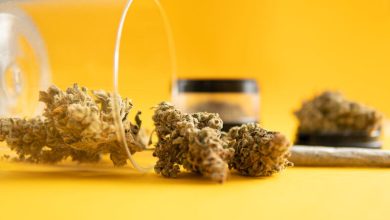 Close-up Cannabis buds spilling out of a glass on a table