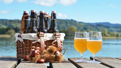 A scenic view featuring a basket of craft beer bottles and two glasses of beer by a serene lake in Norway