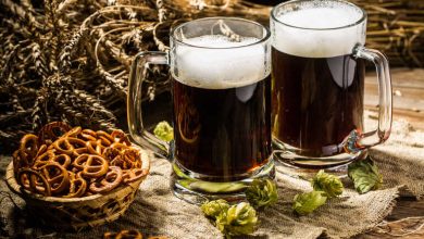 Mugs of dark beer with fresh hops, malt, and barley, illustrating homebrewing