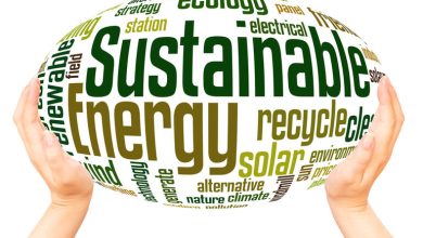 Sustainable lifestyle for building an eco-friendly lifestyle