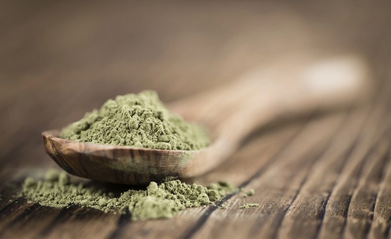 Recently purchased Kratom is displayed in a wooden spoon