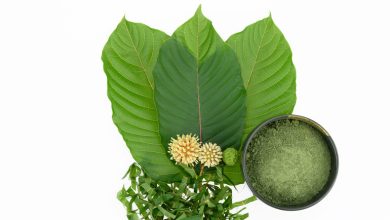 Best kratom for pain
