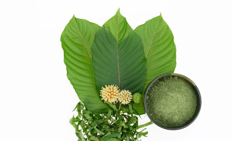Best kratom for pain