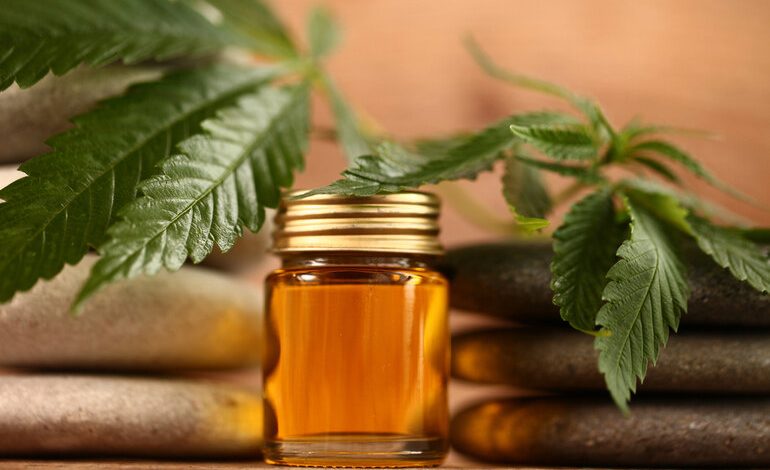 CBD oil bottle surrounded by cannabis leaves, symbolizing natural burnout recovery and stress relief