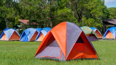 Colorful tents set up in a grassy campground for summer camping