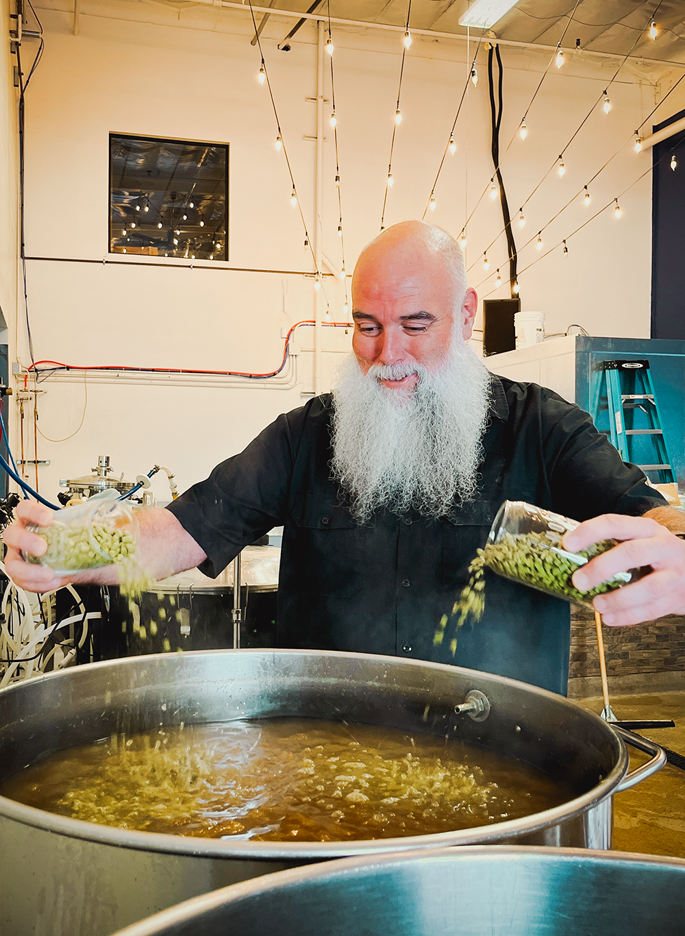 Matt Davis, Home Brew Mart