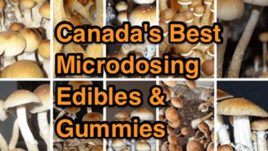 Canada's Best Magic Mushroom Edibles and Gummies