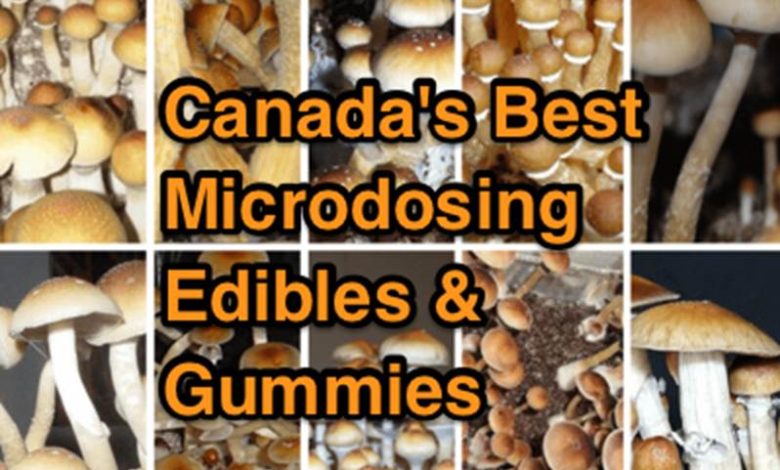 Canada's Best Magic Mushroom Edibles and Gummies
