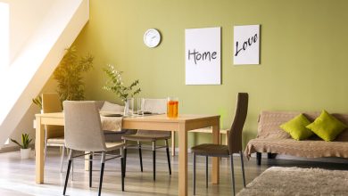Modern dining and living space with green accent wall, minimal wooden furniture, indoor plants, and stylish decor that blends comfort with low-maintenance design