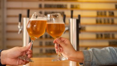 Two people clinking glasses of craft beer at a San Diego brewery