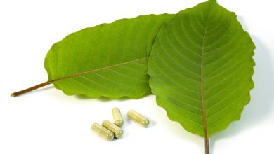Fresh green kratom leaves with kratom capsules for energy and pain relief.