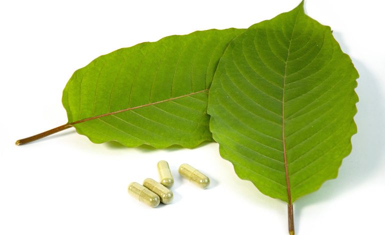 Fresh green kratom leaves with kratom capsules for energy and pain relief.