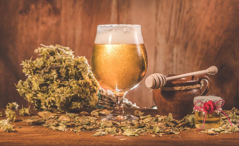 A glass of beer surrounded by cannabis, honey, and rustic elements