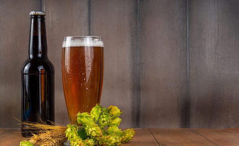A bottle of whiskey and a glass of beer with hops, barley