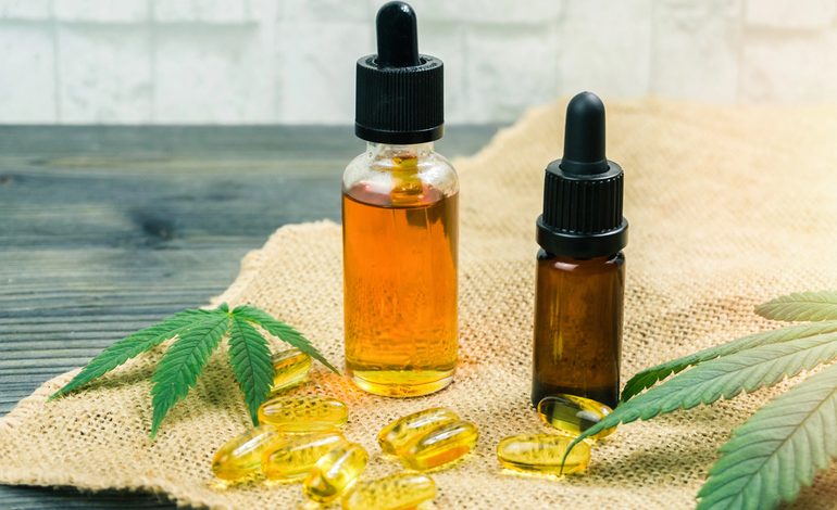 Two bottles of CBD oil, capsules, and a green plant on the floor