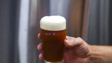 Hand holding a glass of beer with curtains in the background.