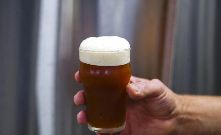 Hand holding a glass of beer with curtains in the background.
