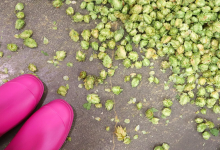 2026 Pink Boots Blend