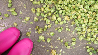 2026 Pink Boots Blend