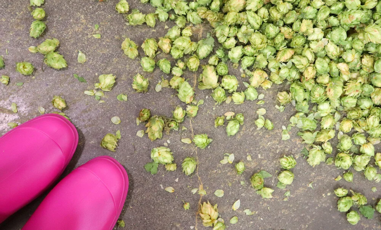 2026 Pink Boots Blend