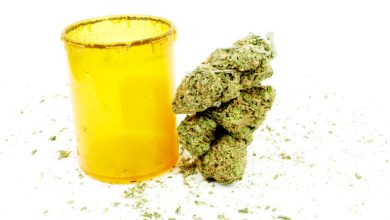 THCA concentrate production underway.