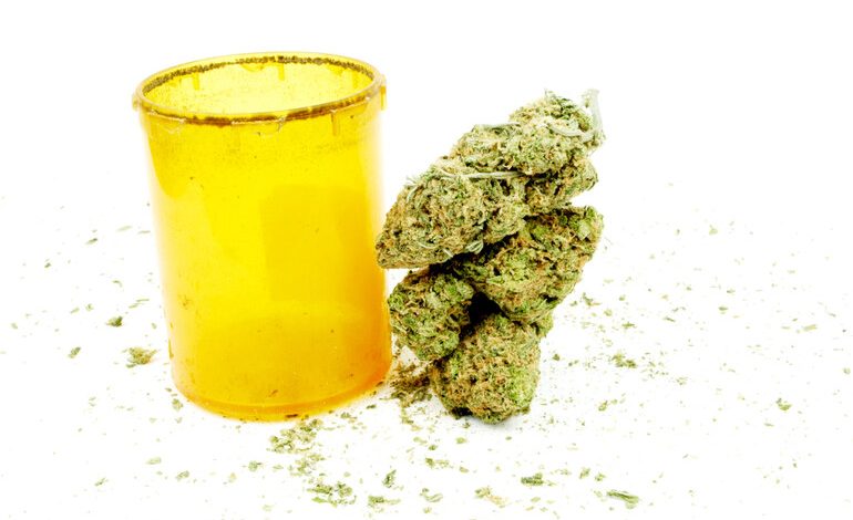 THCA concentrate production underway.