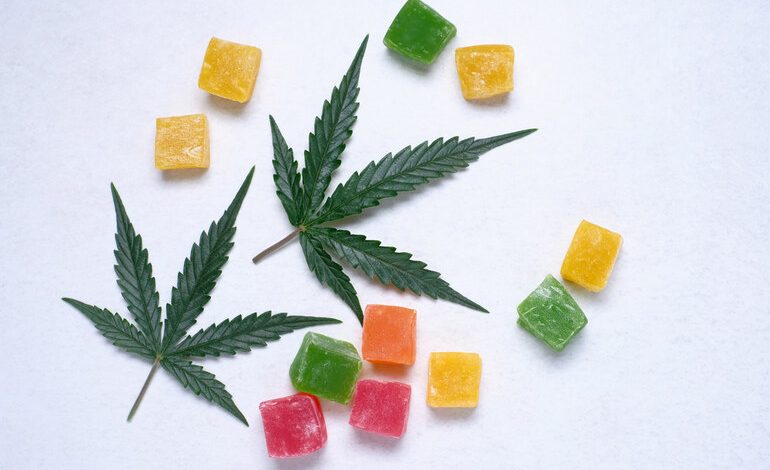 Best CBD Gummies For Pain Relief.