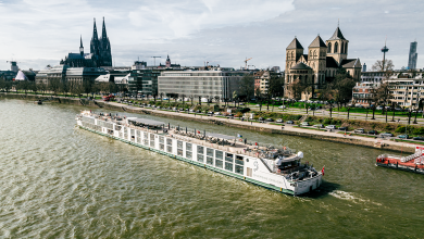 Riverside Rhine River Cruise