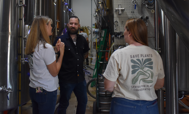 Save Plants Collaboration Brew Day