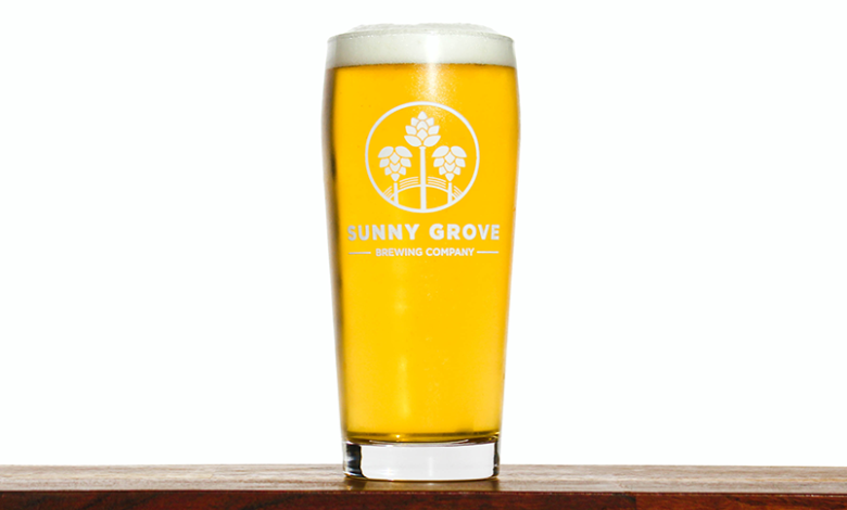 Sunny Grove Rain Delay IPA
